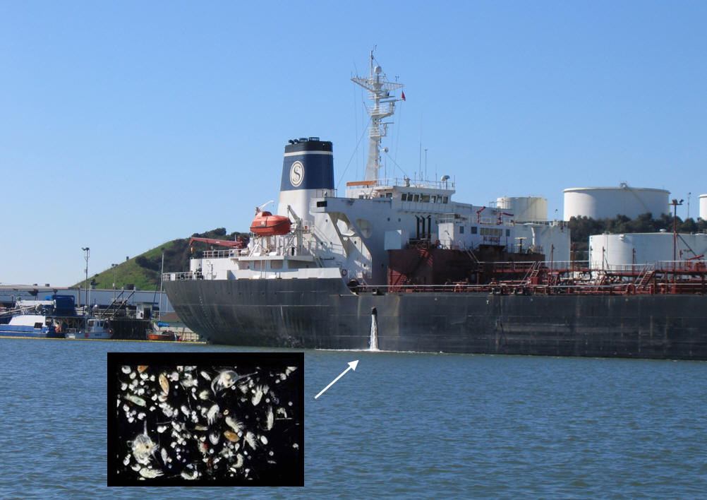 Cargo ship discharging ballast water with inset showing microorganisms