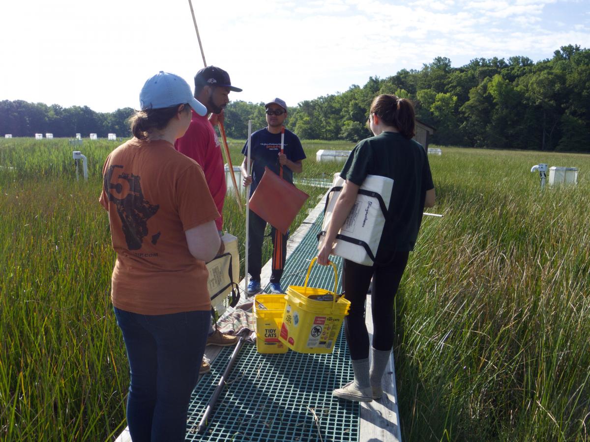 Volunteers with equipment