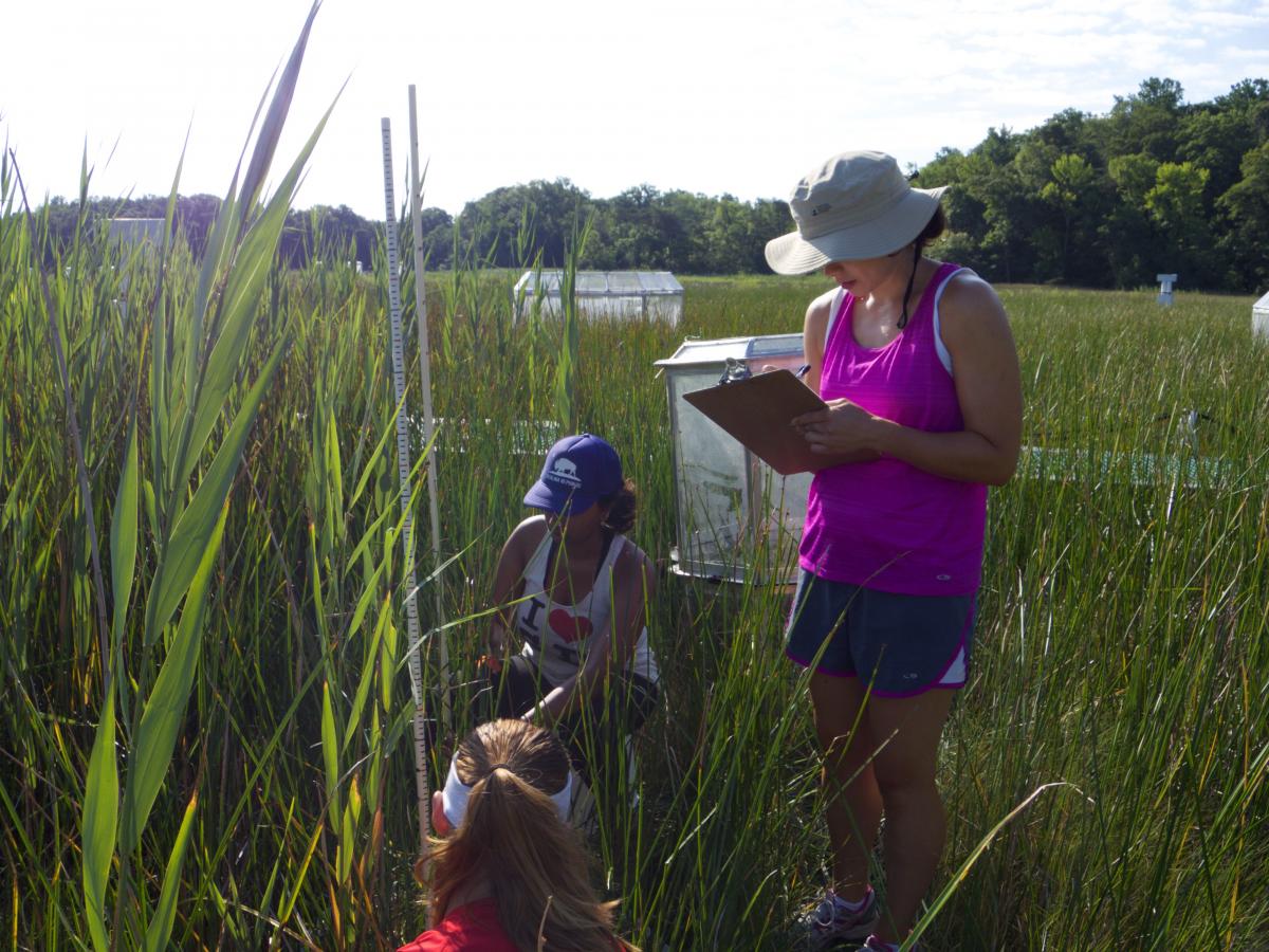 Measuring and recording growth