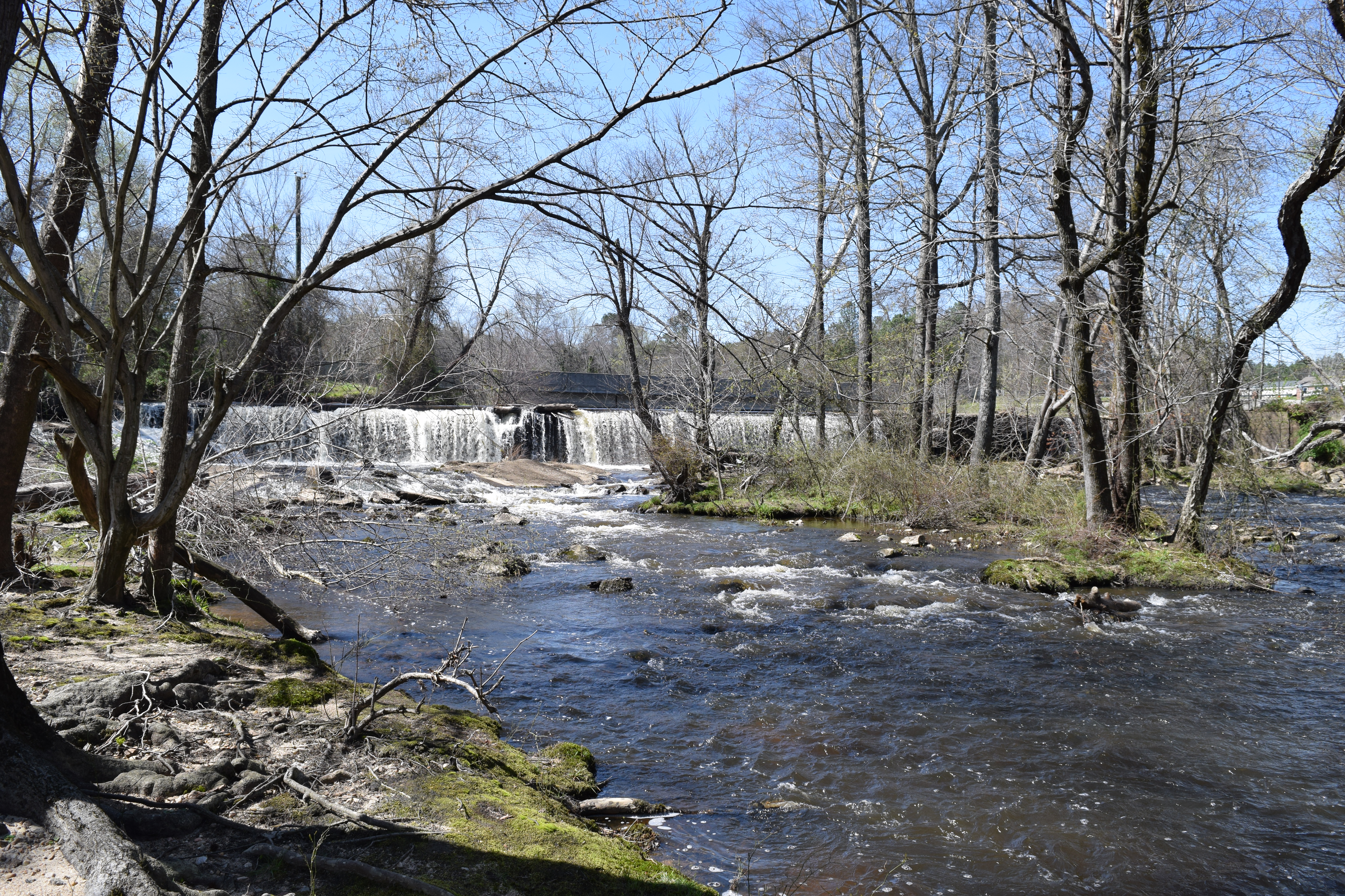 waterfall and stream with trees