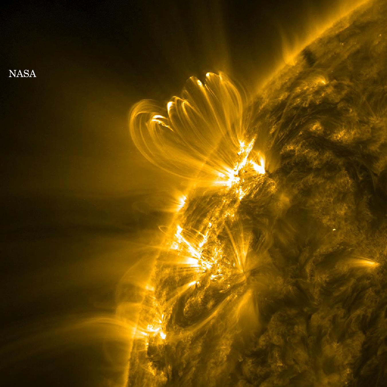 Ultraviolet Solar Activity (NASA/SDO)