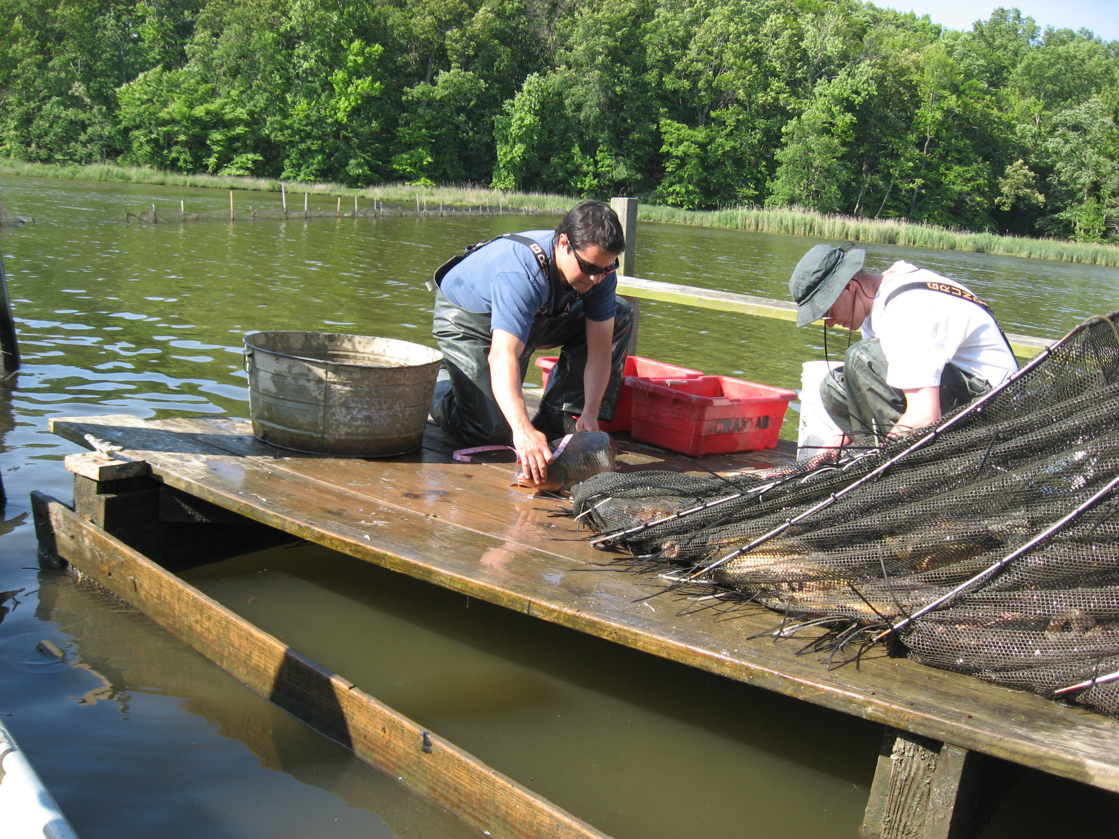 scientists at SERC weir