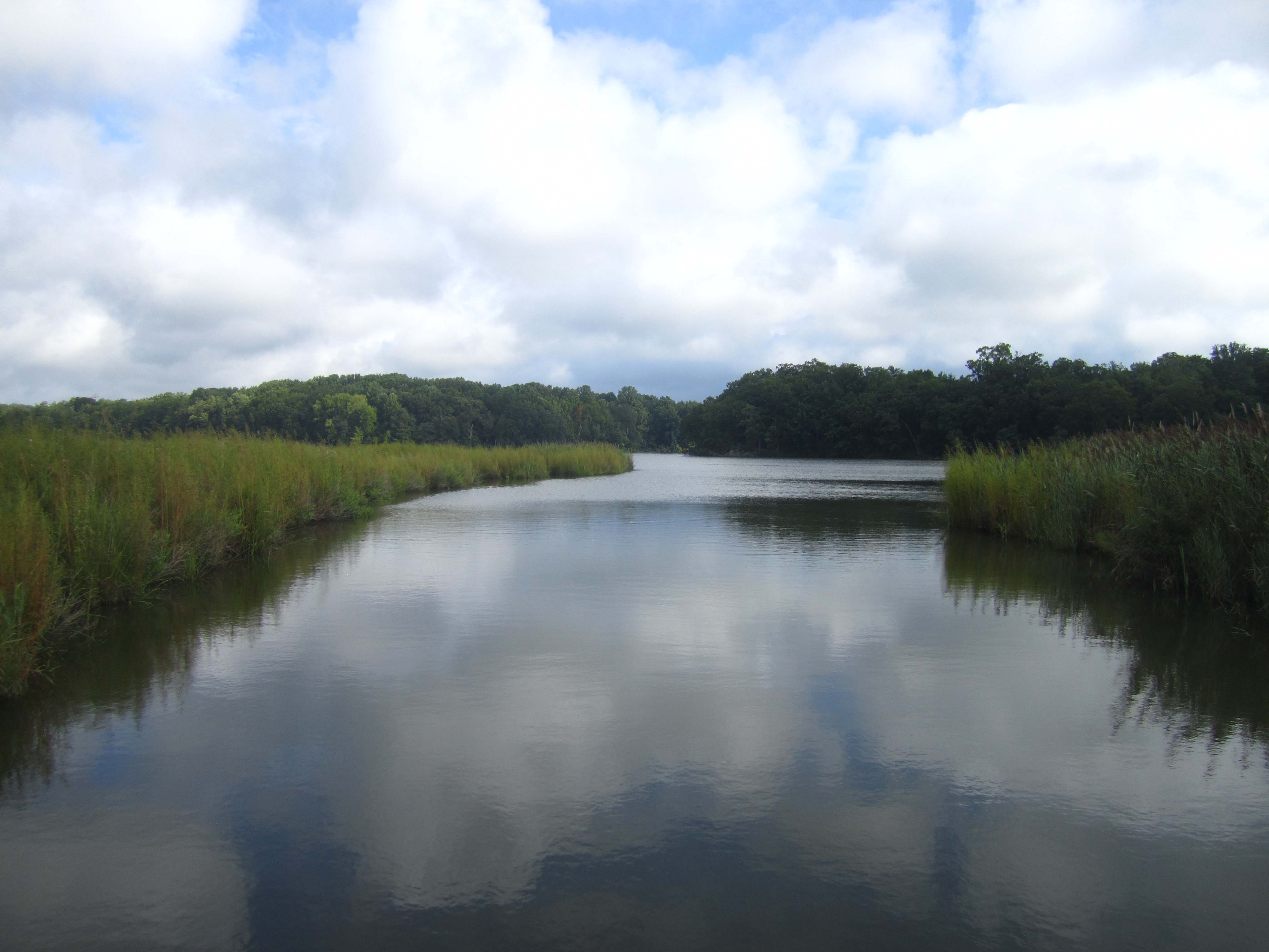 SERC marsh