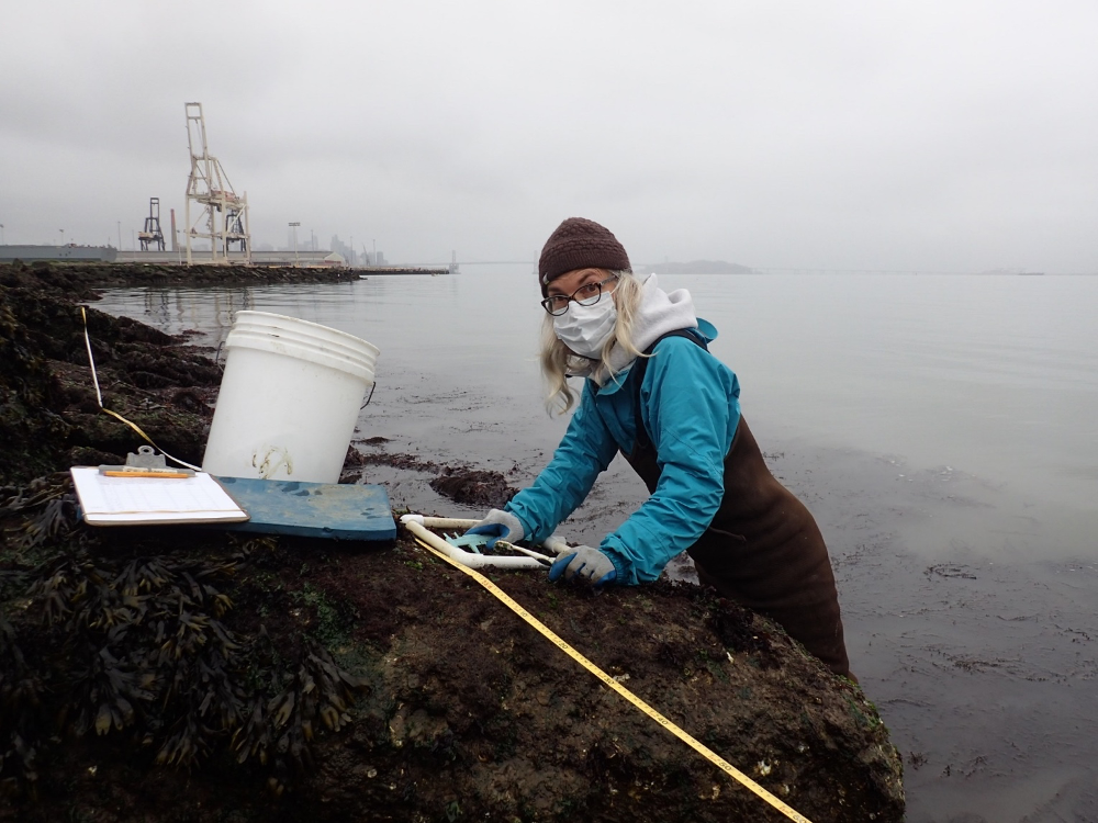 Surveying shoreline.