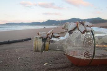 Bottle washed onshore with barnacles attached