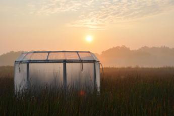 Experimental chamber where ecologists simulate the future in the Global Change Research Wetland, under a foggy, orange sunset