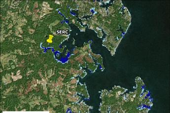 Blue-carbon map of marshes surrounding SERC