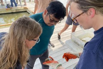 A scientist holding an oyster in front of two people while they look at it, intrigued