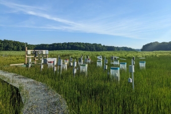 Automated flux chambers deployed in a wetland