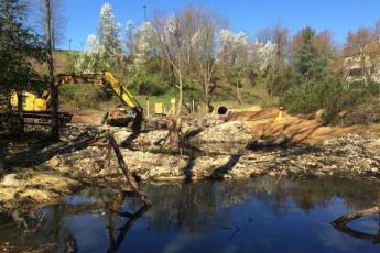 Crane at restoration site