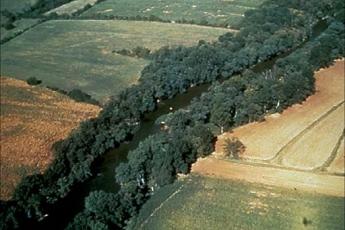 croplands and riparian buffer from the air