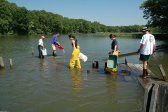 picture for Nearshore Community of Fish and Crustaceans project