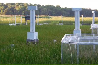 Global Change Research Wetland