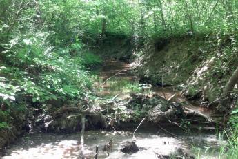 An incised stream channel