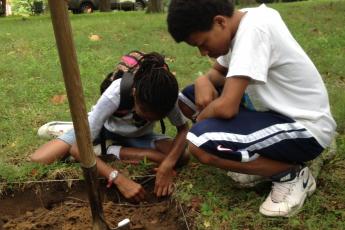 volunteers excavate plot