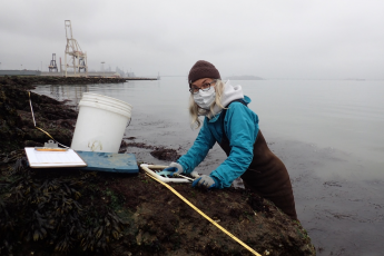 Surveying San Francisco Bay shores.