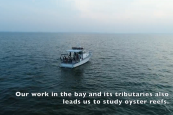 Boat in the water with "Our work in the bay and its tributaries also leads us to study oyster reefs" text at the bottom