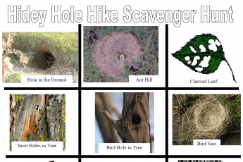 Hidey hole hike scavenger hunt