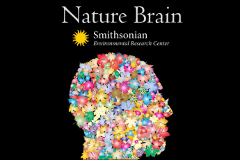 A graphic of a human head, turned to the right, composed of colorful leaves, over black background. Text above says Nature Brain