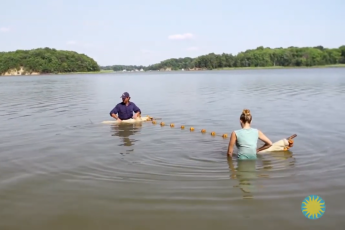 A man and a woman unfurl a seine net in the Rhode River. There are forests on the edge of the water in the distance