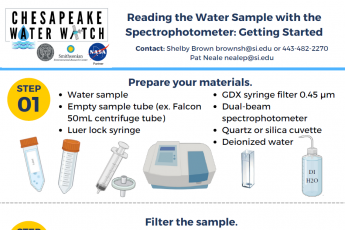 Satellites and Samples CDOM protocols