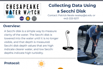 Secchi disk sampling