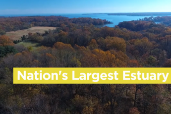 "Nation's largest estuary" text over video frame of an overhead view of the SERC campus