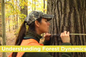 "Understanding forest dynamics" text at the bottom over a video frame of a woman measuring a tree trunk