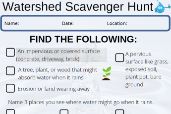 Watershed scavenger hunt