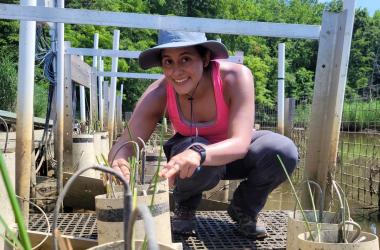 Alia Al-Haj on wetland