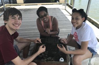 Young man and two young women on a dock, inspecting a crate of oyster shell