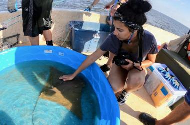 Young woman beside pool with cownose ray