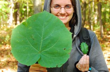 Woman holding princess tree leaf and holly leaf