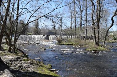 waterfall and stream with trees