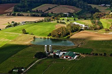 Farm field near SERC. Credit: Chuck Gallegos, with help from Light Hawk