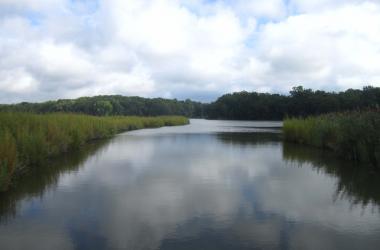 SERC marsh