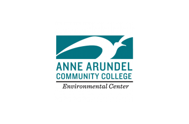 Anne Arundel Community College