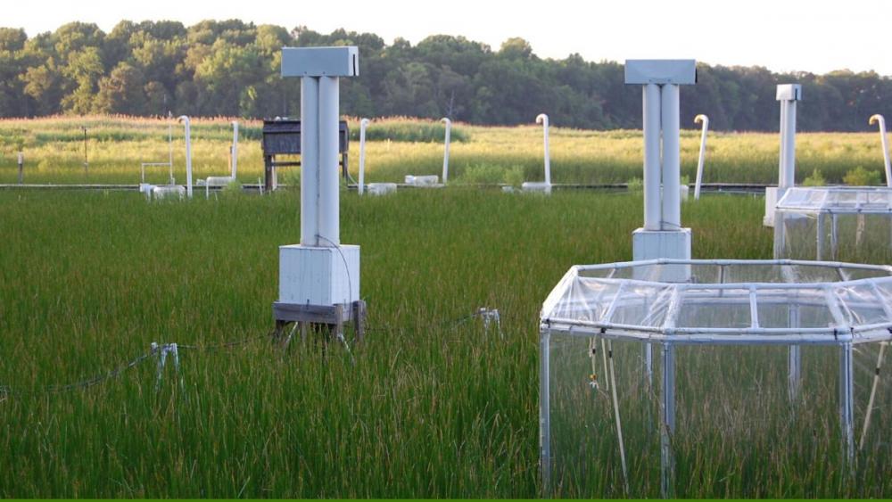 Global Change Research Wetland