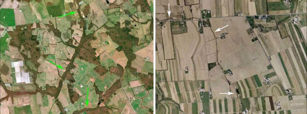 aerial view of streams with and without riparian buffers