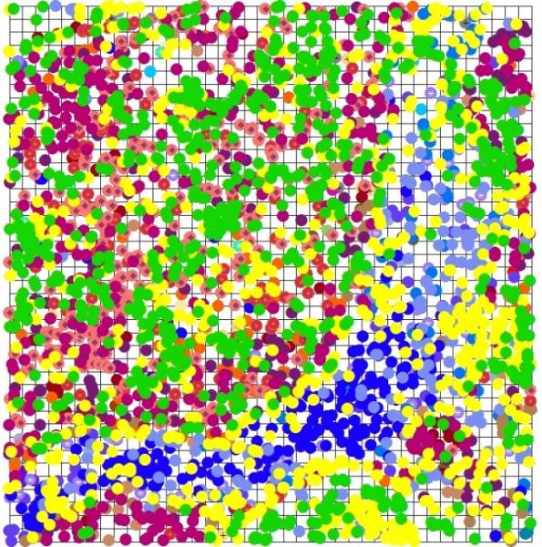 Map of ForestGEO plot