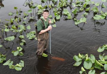 volunteer sampling for eggs