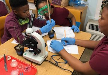 Students growing orchids in their classroom