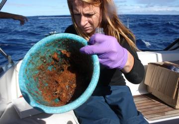 Janell Clark, sampling a flower pot found in the North Pacific Gyre (Great Pacific Garbage Patch) aboard S/V Blue Moon