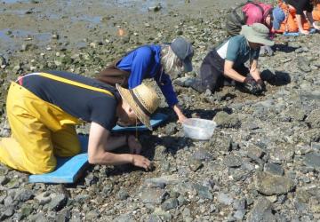 Searching for snails