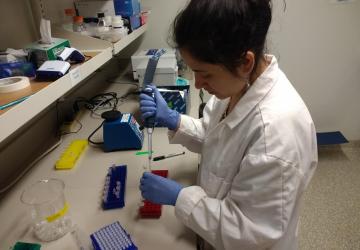 Intern Alicia extracts DNA