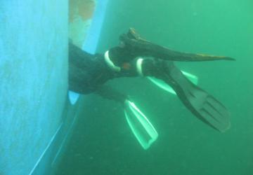 Research divers' fins protrude from a thruster tube as they sample biofouling.