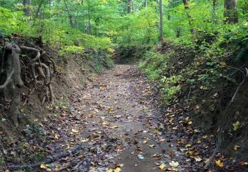 dry streambed