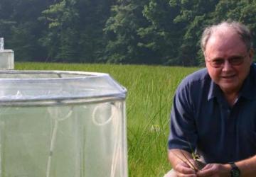 Bert Drake with chamber in Global Change Research Wetland