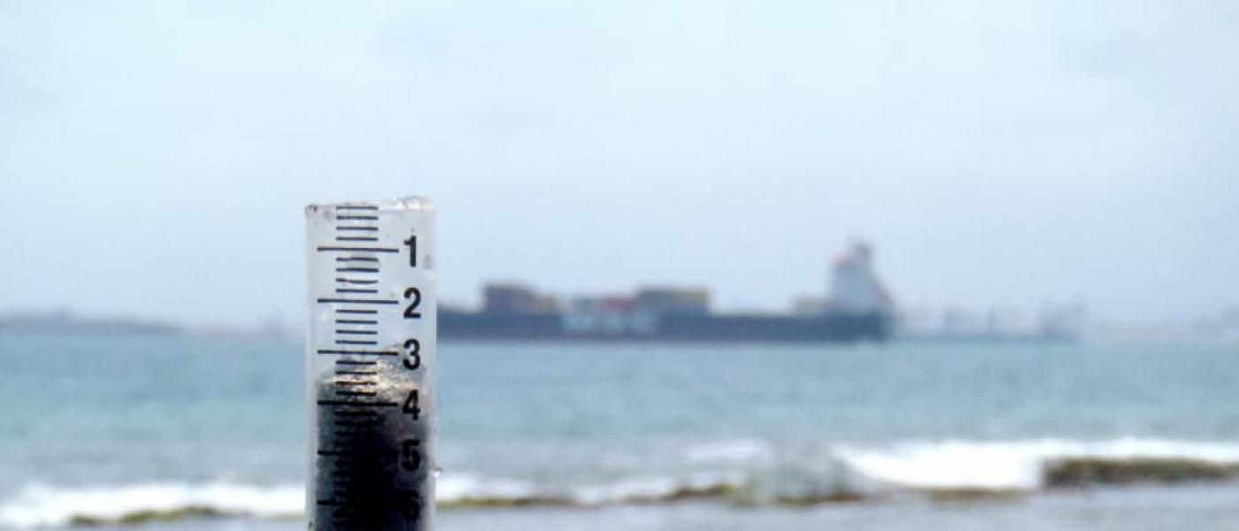 Sediment sample from Fort Sherman, Panama