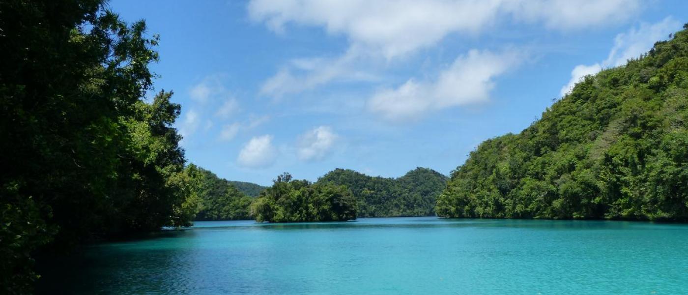 The rock islands of Palau, surrounded by bright blue water.